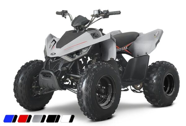 Linhai ATV 110 2X4 EFI CE